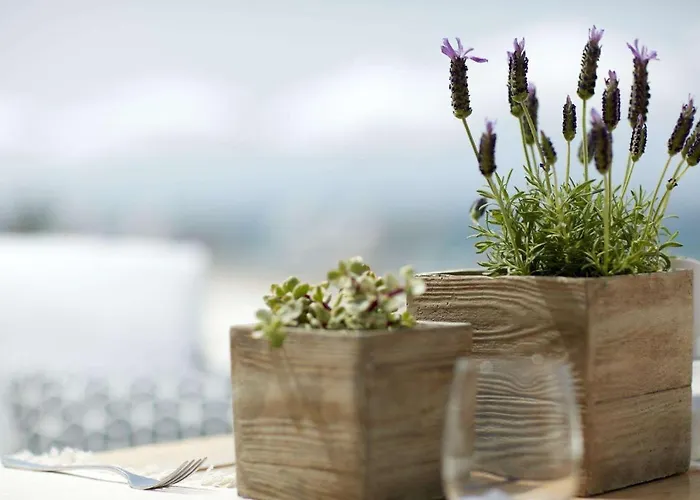 Monastery 5* 佩雷卡斯